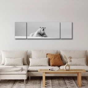 Obraz - Niedźwiedź polarny (170x50 cm)