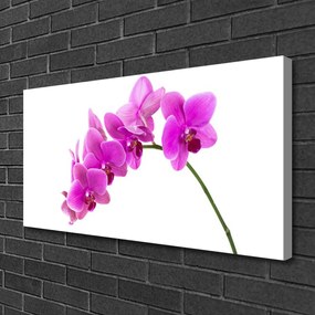 Obraz Canvas Storczyk Kwiat Orchidea