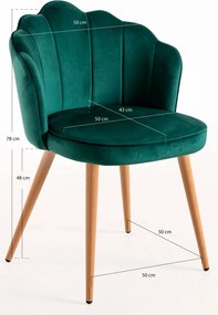 Aksamitne krzeso Blume