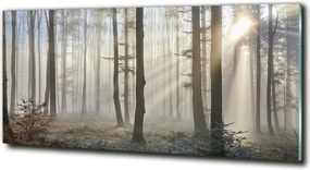 Foto obraz szkło hartowane Mgła w lesie