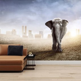 Fototapeta - Słonie w wielkim mieście (196x136 cm)