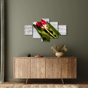 Obraz czerwonego tulipana (125x70 cm)