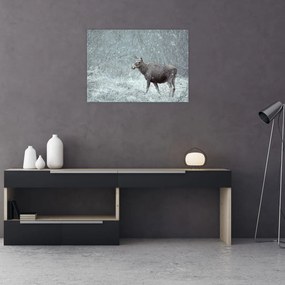 Obraz na szkle - Łoś w śnieżnym lesie (70x50 cm)