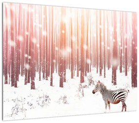 Obraz - Zebra w śnieżnym lesie (70x50 cm)