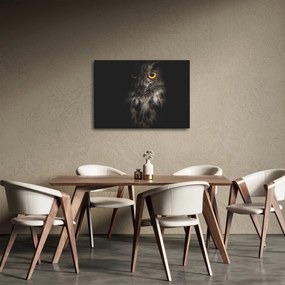 Obraz sowy (70x50 cm)