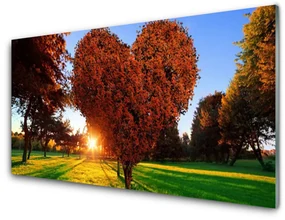 Obraz Akrylowy Drzewo Serce Natura