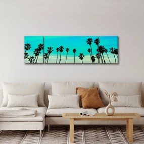 Obraz - Kalifornia (170x50 cm)