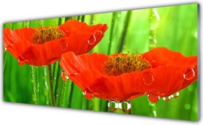 Szkło Ozdobne do Kuchni Klasyczne Maki W Rozkwicie