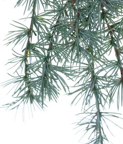 Gałązka Christmas Tree 30x2x60cm light green