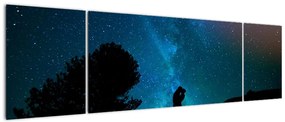 Obraz - Spotkanie pod gwiazdami (170x50 cm)