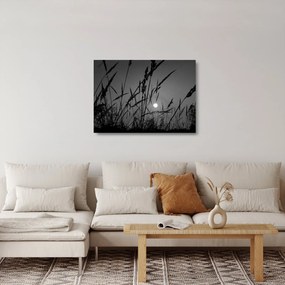 Obraz na szkle - Łąka z zachodem słońca (70x50 cm)