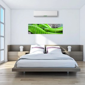 Obraz zielonych węży (170x50 cm)