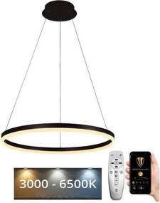 Brilagi - LED ściemnialny żyrandol na linkach CIRCLE LED/42W/230V 3000-6500K + pilot