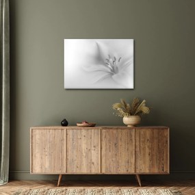 Obraz - Delikatna lilia (70x50 cm)