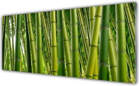 Panel Szklany do Kuchni Gęstwina Zielonego Bambusa
