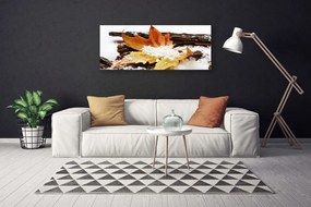 Obraz canvas Urok Skromnej Stokrotki