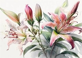 Obraz - Lilie, ilustracje (70x50 cm)