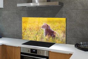 Panel szklany do Kuchni Kot w Trakcie Polowania