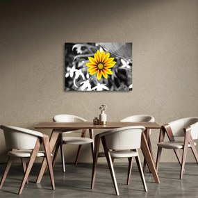 Obraz na szkle - żółty kwiat (70x50 cm)