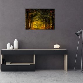 Obraz lasu (70x50 cm)