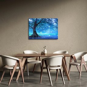 Obraz - Mistyczny las (70x50 cm)
