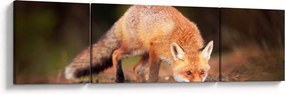 Obraz - Lis w lesie (170x50 cm)