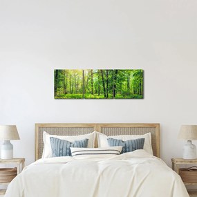 Obraz - Wiosenny las liściasty (z zegarem) (90x30 cm)