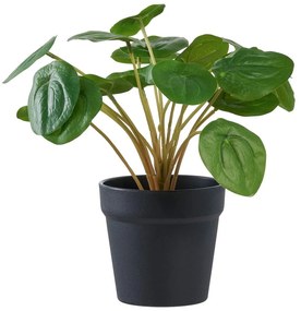 Sztuczna roślina (wysokość 28 cm) Pelia – House Nordic
