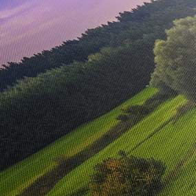 Obraz łąki (z zegarem) (90x30 cm)