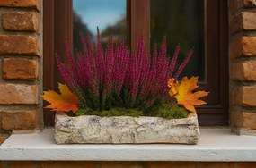 Osłonka na kwiaty - skrzynka, imitacja brzozy, 32 x 12 x 8 cm, 32 cm