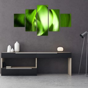 Obraz - Źdźbło trawy (125x70 cm)
