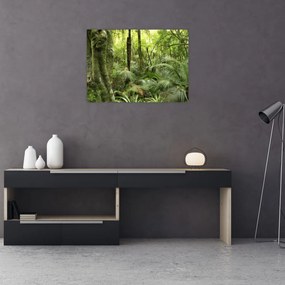 Obraz na szkle tropikalnego lasu deszczowego (70x50 cm)