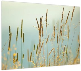 Obraz - Łąkowa chwila (70x50 cm)