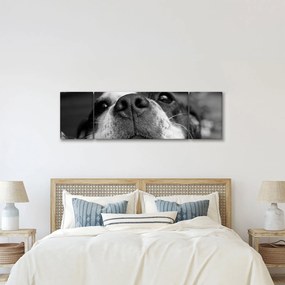 Obraz psa (170x50 cm)