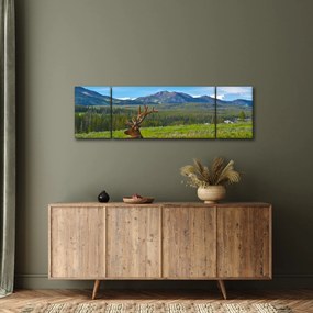 Obraz - Jeleń na łące (170x50 cm)