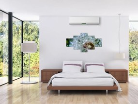 Obraz przekwitniętego dmuchawca (125x70 cm)