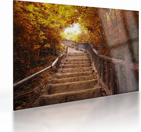 Obraz na szkle - Schody w naturze jesienią (70x50 cm)