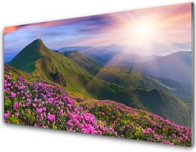 Panel nad blat kuchenny Kwiatowy Dywan U Stóp Gór