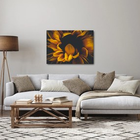 Obraz - Słoneczniki na czarnym tle (70x50 cm)