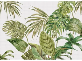 Fototapeta XXL Fern 360 x 254 cm, 4 części