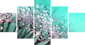 Obraz - zroszona roślina (125x70 cm)