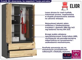 Dwudrzwiowa szafa szary + dąb artisan - Frowik 3X