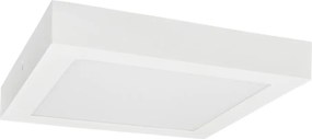 LED Plafon FENIX LED/12W/230V 3800K 17 cm śnieg biały