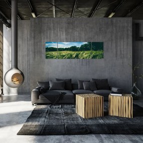 Obraz łąki i lasu (170x50 cm)