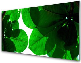 Panel Kuchenny Stylowy Motyw Botaniczny