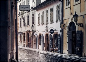 Obraz - Praska uliczka (70x50 cm)