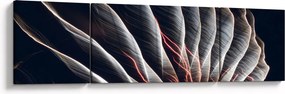 Obraz - Wyładowanie świetlne (170x50 cm)