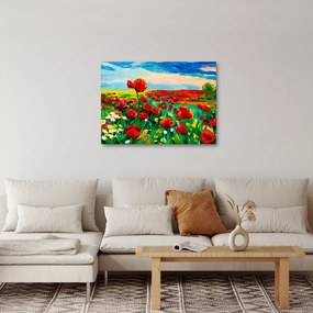 Obraz pola z makami (70x50 cm)