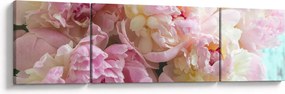 Obraz - Piwonie (170x50 cm)