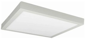 LED Plafon FENIX LED/32W/230V 3800K 40 cm biały